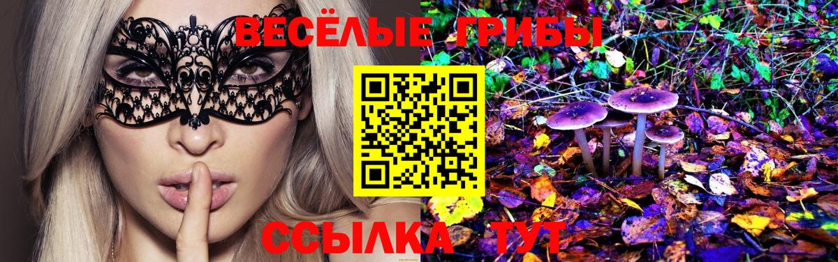 Еманжелинск  Галлюциногенные грибы Psilocybine cubensis  Галлюциногенные грибы мухоморы  Вход с VPN 